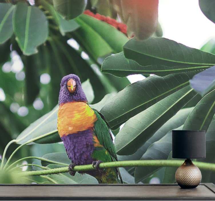 Fotomurale animali pappagallo colorato in posizione - TenStickers