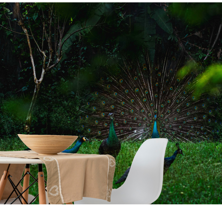 Fotomurale animali pavone in mostra di piume - TenStickers