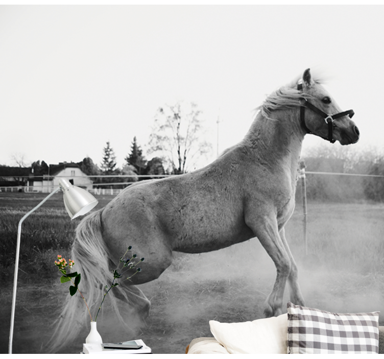 Fotomurale animali pony al galoppo - TenStickers