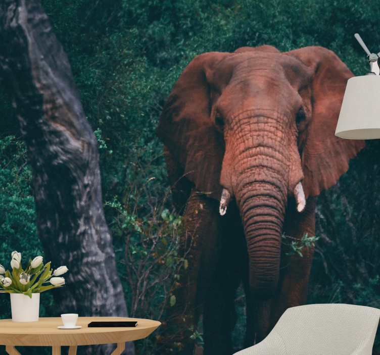 Fotomurale animali presenza di un elefante maestoso - TenStickers