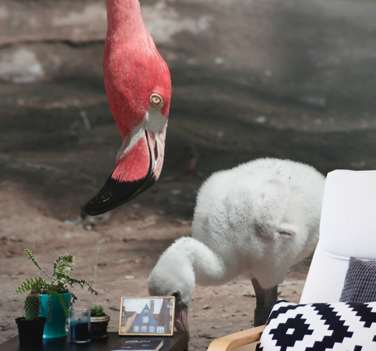 Fotomurale animali pulcino di fenicottero - TenStickers