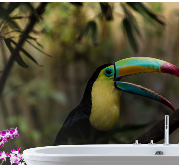 Fotomurale animali ritratto di tucano colorato - TenStickers