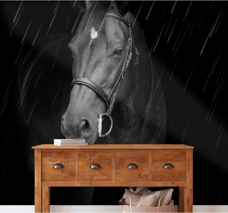 Fotomurale animali ritratto equino regale - TenStickers