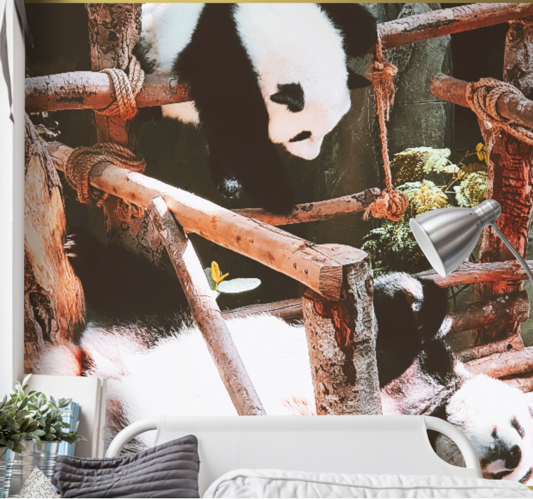 Fotomurale animali scena di gioco dei panda - TenStickers