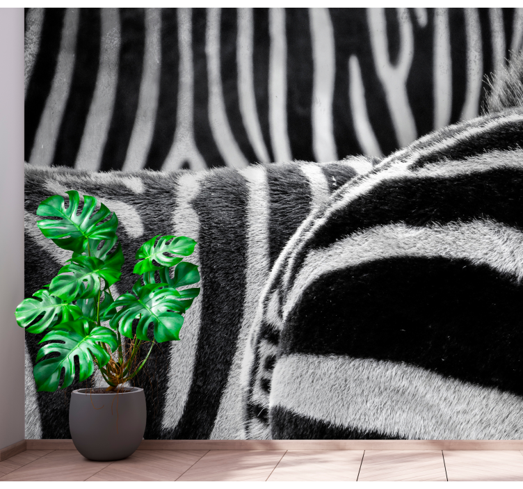 Fotomurale animali strisce di zebre realistiche - TenStickers