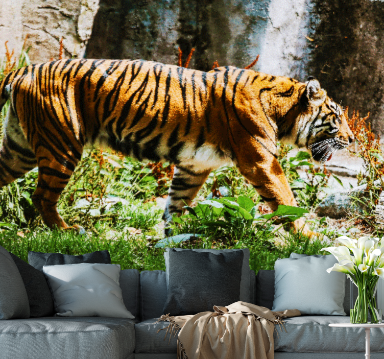 Fotomurale animali tigre maestosa in cammino - TenStickers