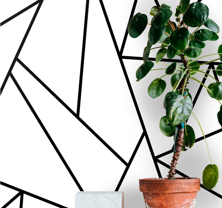 Fotomurale astratto linee nere geometriche - TenStickers