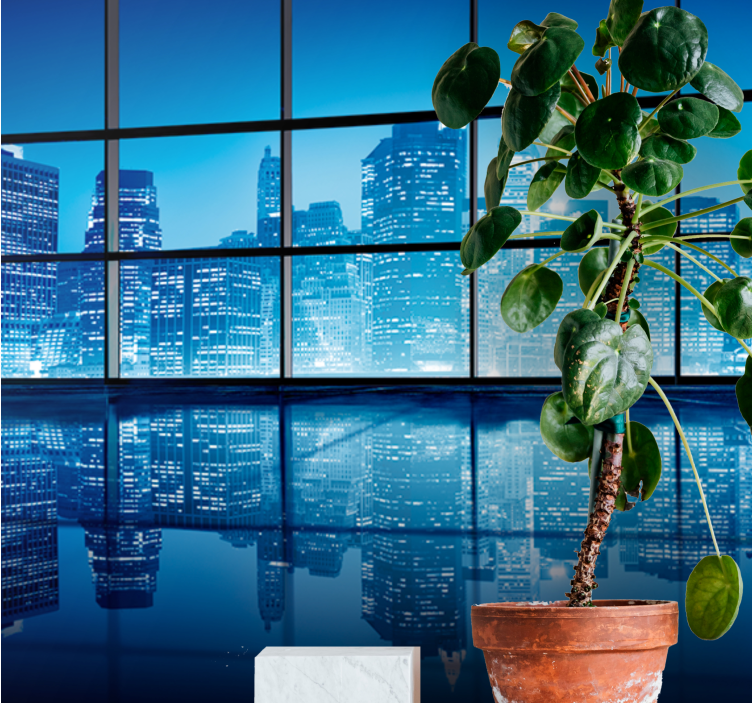 Fotomurale città riflesso di notte urbana - TenStickers