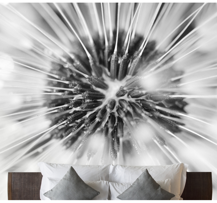 Fotomurale dente di leone scoppio dei semi di tarassaco - TenStickers