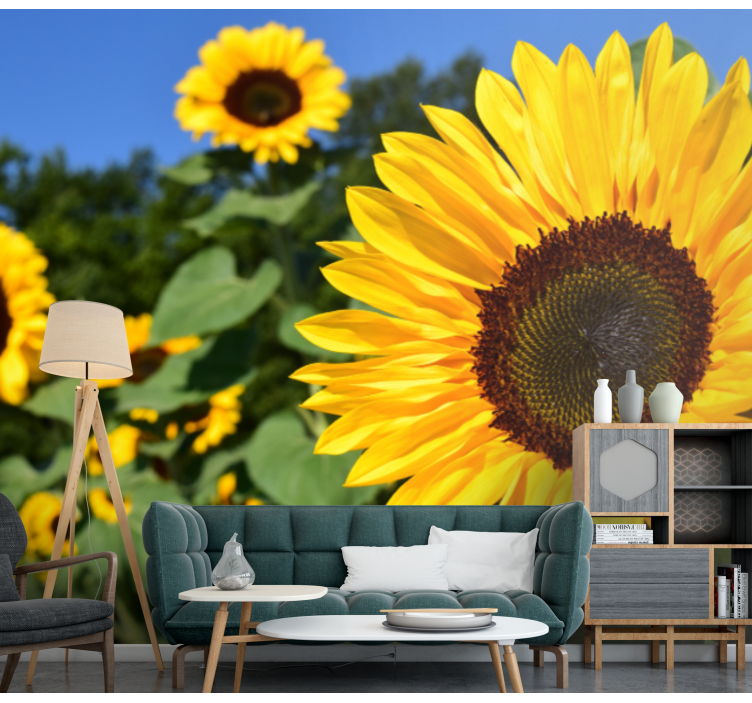 Fotomurale fiori bellezza di girasole - TenStickers