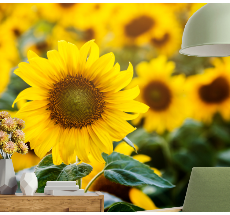 Fotomurale fiori campo di girasoli fiorito - TenStickers