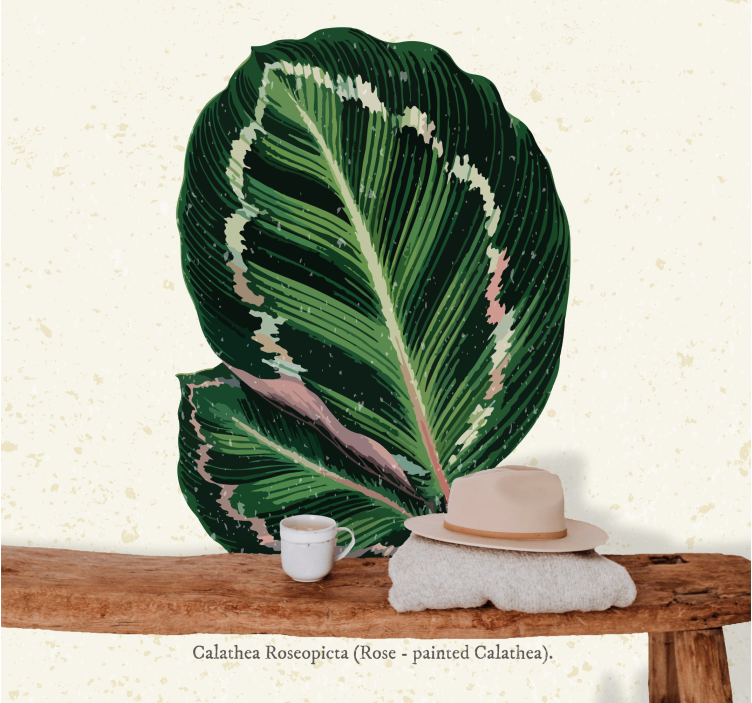 Fotomurale fiori esposizione foglie di calathea - TenStickers