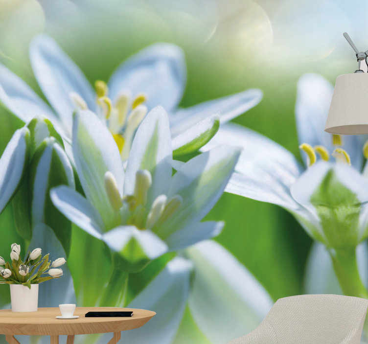 Fotomurale fiori fiori bianchi delicati - TenStickers