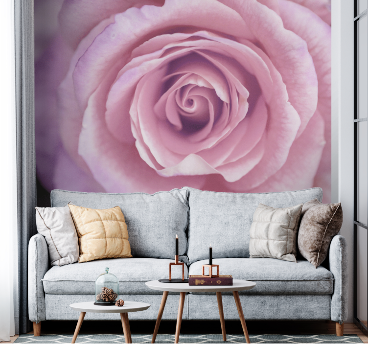 Fotomurale fiori fioritura di rose rosa - TenStickers