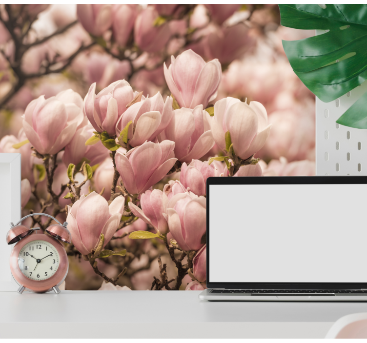 Fotomurale fiori magnolia in fiore - TenStickers