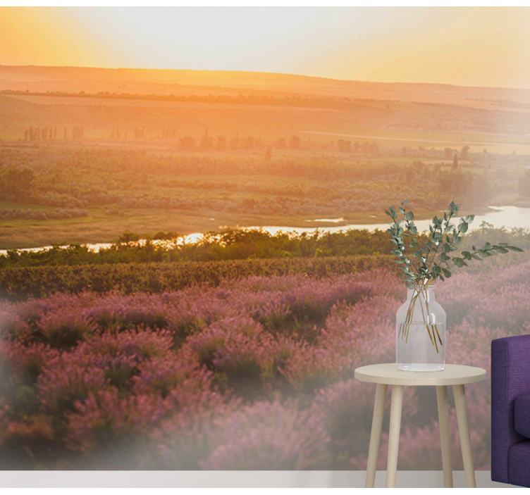 Fotomurale fiori paesaggio tramonto lavanda - TenStickers