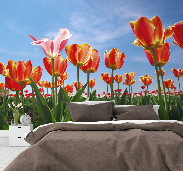 Fotomurale fiori prato di tulipani vivaci - TenStickers