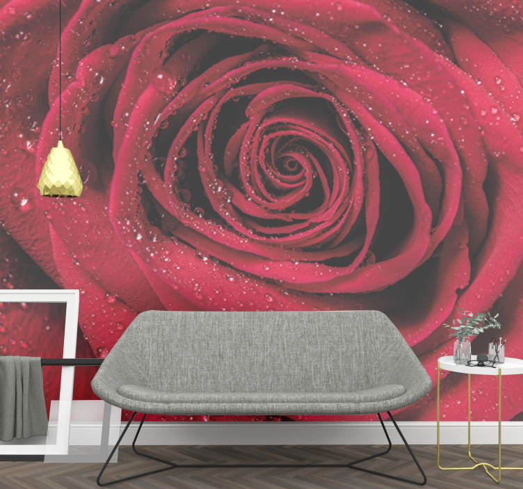 Fotomurale fiori rose con gocce d'acqua - TenStickers