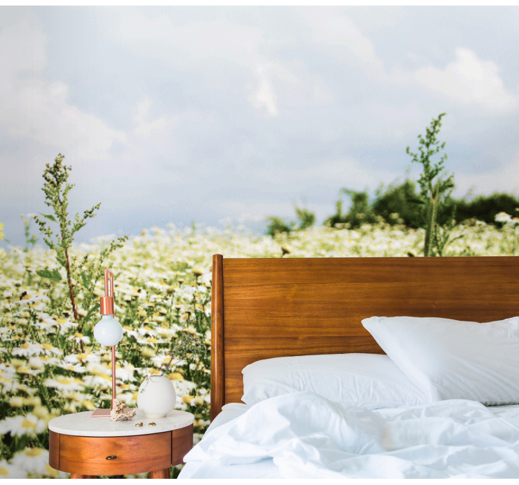 Fotomurale fiori scena di campo di margherite - TenStickers