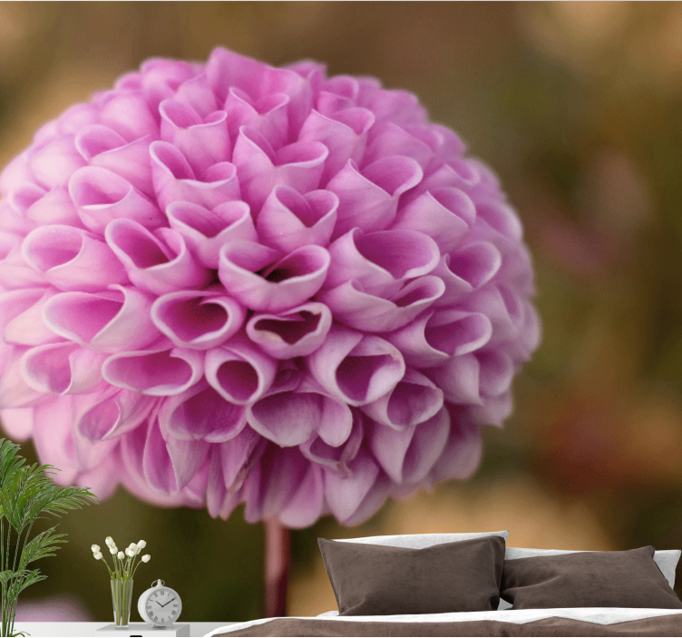 Fotomurale fiori sfera floreale rosa - TenStickers