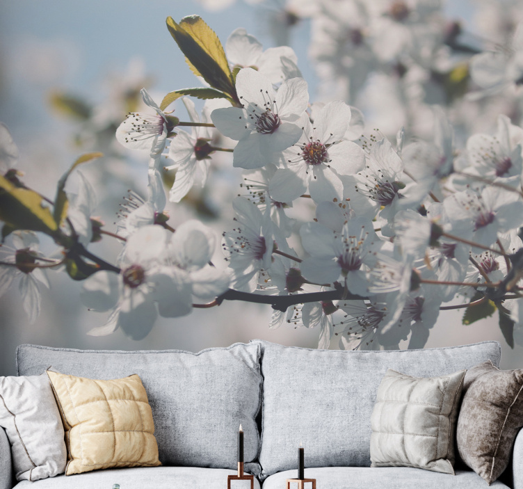Fotomurale fiori stelo di fiore di sakura - TenStickers