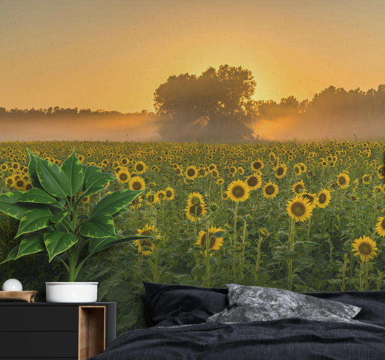 Fotomurale fiori tramonto sul campo di girasoli - TenStickers