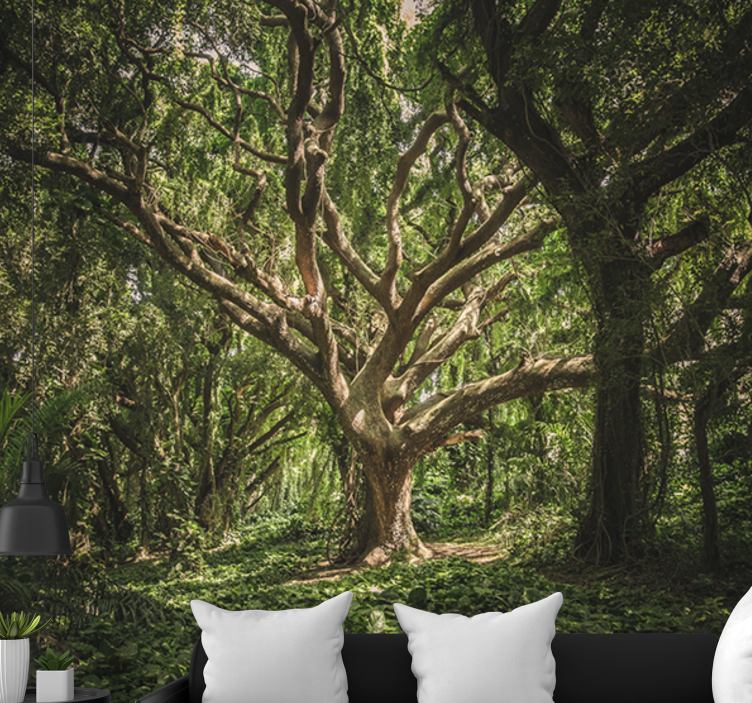 Fotomurale foresta canopy maestoso - TenStickers