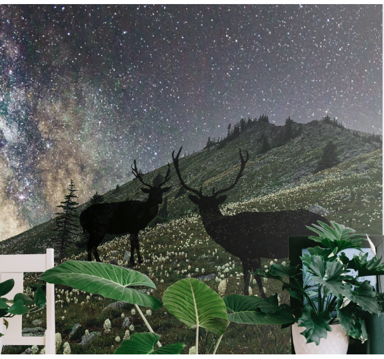 Fotomurale foresta cervi della notte stellata - TenStickers