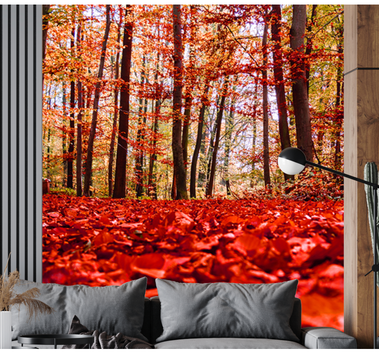 Fotomurale foresta chioma di foglie autunnali - TenStickers