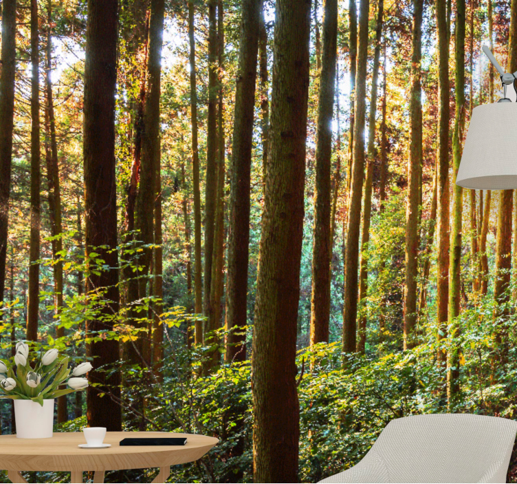 Fotomurale foresta foresta verde rigogliosa - TenStickers