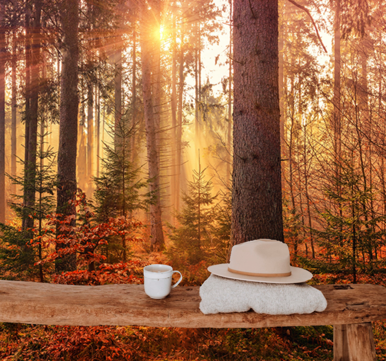 Fotomurale foresta luce del bosco illuminato - TenStickers