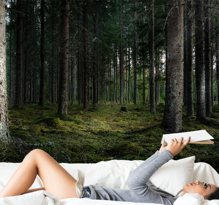 Fotomurale foresta paesaggio sereno - TenStickers