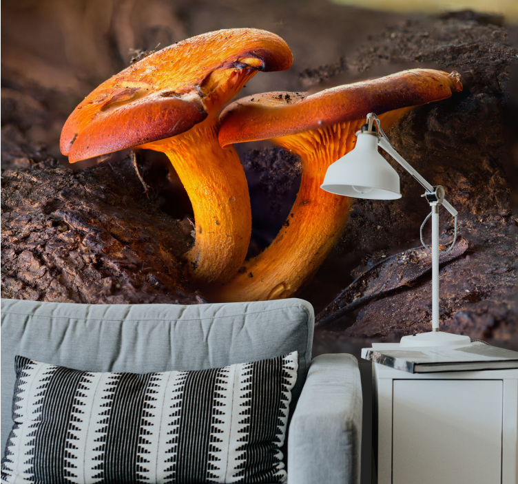 Fotomurale foresta scena naturale fungo - TenStickers