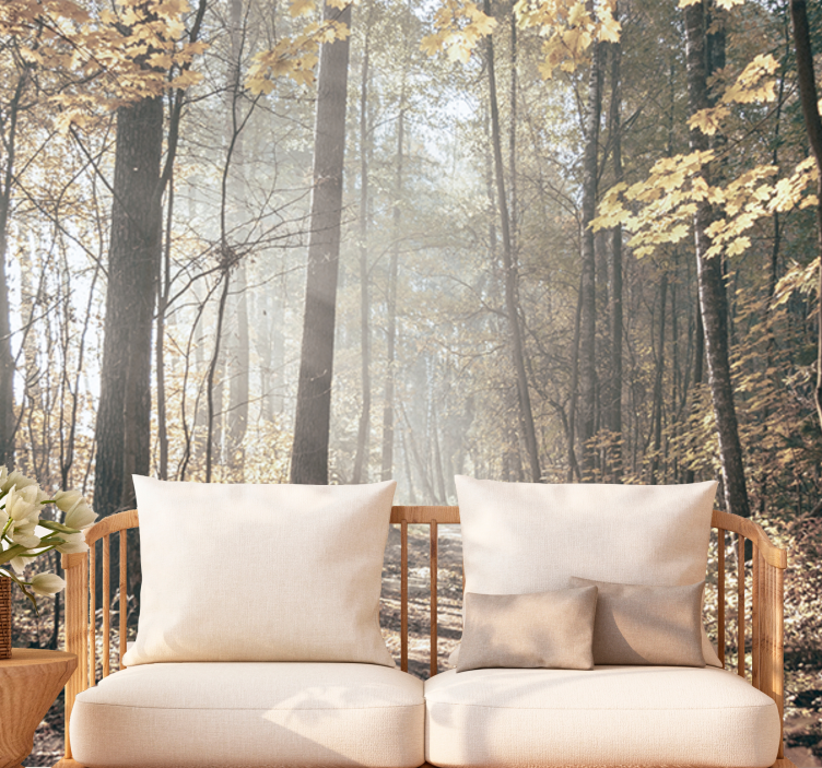 Fotomurale foresta sentiero d'autunno sereno - TenStickers