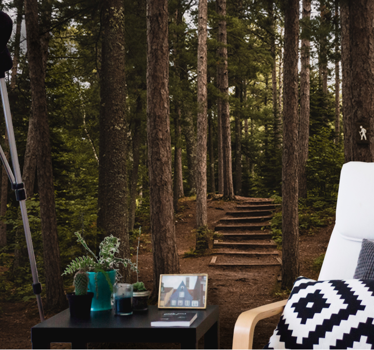 Fotomurale foresta sentiero di serenità - TenStickers