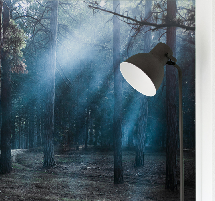 Fotomurale foresta sentiero nebbioso e nebbioso - TenStickers