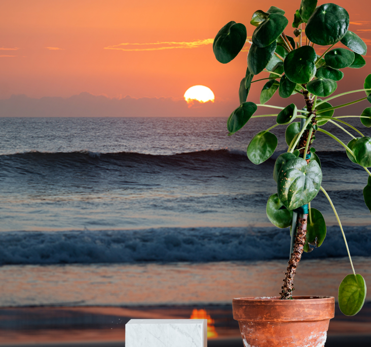 Fotomurale mare tramonto oceano orizzonte - TenStickers