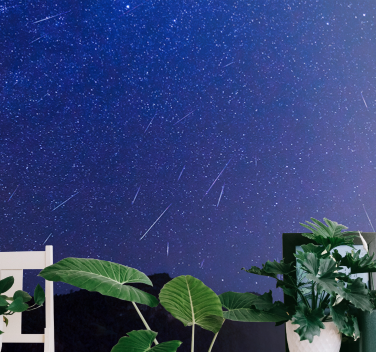 Fotomurale montagna comete celesti notturne - TenStickers