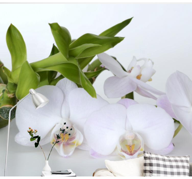 Fotomurale orchidee composizione elegante di orchidee - TenStickers