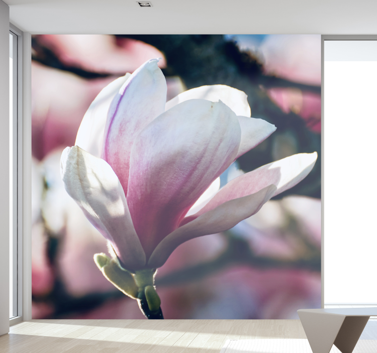 Fotomurale orchidee fioritura rosa delicata - TenStickers