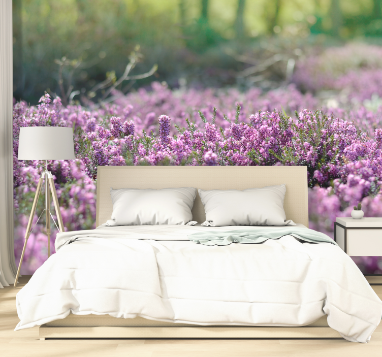 Fotomurale di un paesaggio con campo di erica - TenStickers