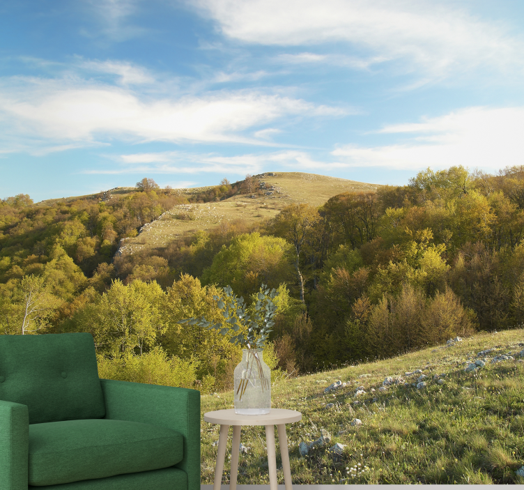 Fotomurale paesaggi colline ondulate - TenStickers