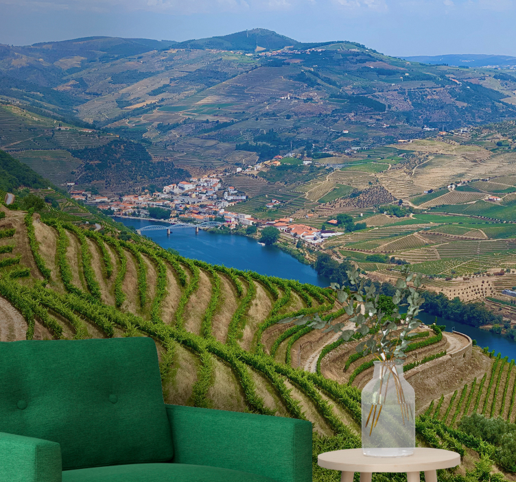 Fotomurale paesaggi fiume valle vigneto - TenStickers