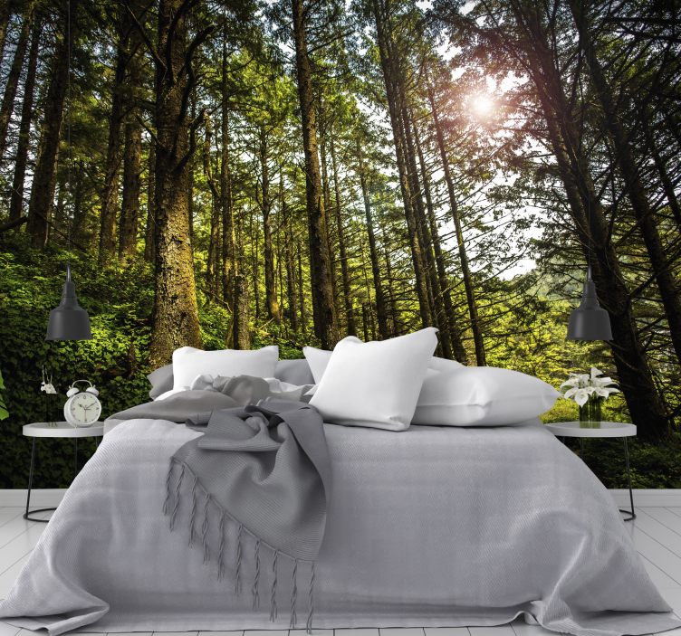 Fotomurale paesaggio con foresta soleggiata - TenStickers