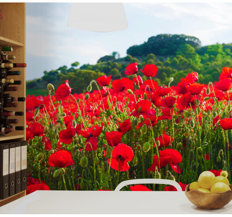 Fotomurale papaveri campo di papaveri rossi - TenStickers