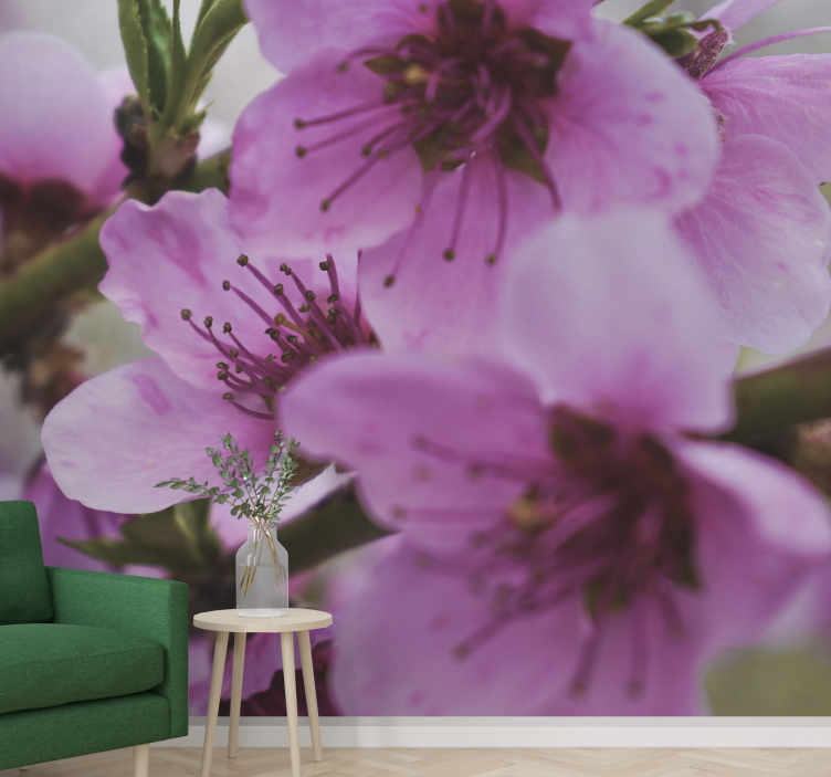 Fotomurale papaveri fiori rosa radiosi - TenStickers