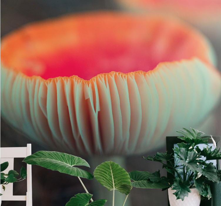 Fotomurale papaveri fioritura elegante di papaveri - TenStickers