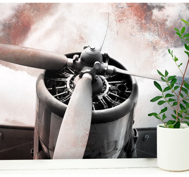 Fotomurale veicoli elica di aereo d'epoca - TenStickers