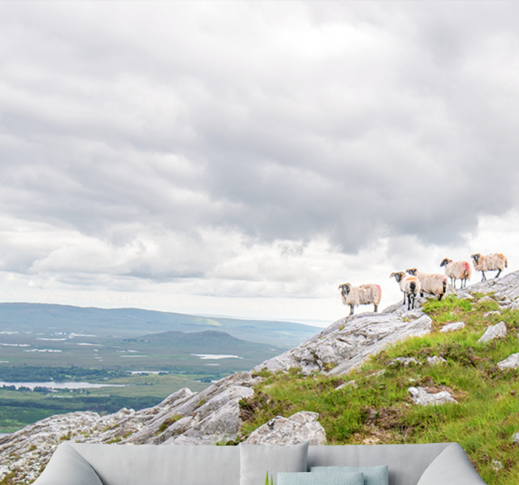 Fotomurali animali diversi agnelli sulle pendici - TenStickers