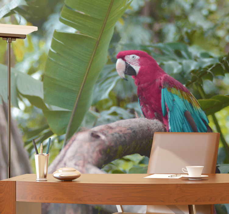 Fotomurali animali diversi pappagallo ara colorato - TenStickers